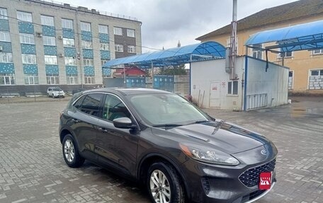Ford Escape, 2019 год, 1 850 000 рублей, 1 фотография