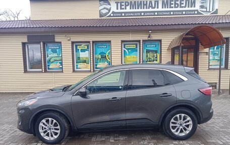 Ford Escape, 2019 год, 1 850 000 рублей, 7 фотография