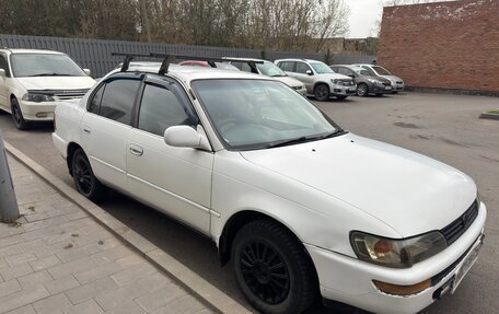 Toyota Corolla, 1993 год, 245 000 рублей, 2 фотография