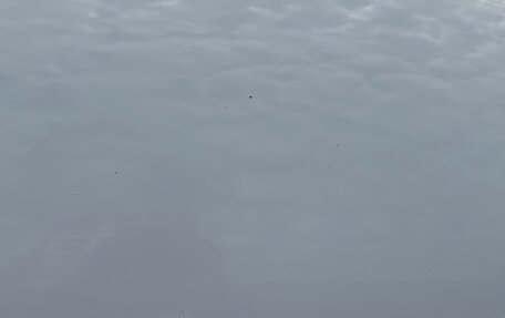 Volkswagen Polo VI (EU Market), 2018 год, 1 320 000 рублей, 21 фотография