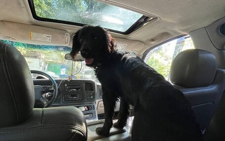 Chevrolet Tahoe II, 2004 год, 550 000 рублей, 3 фотография