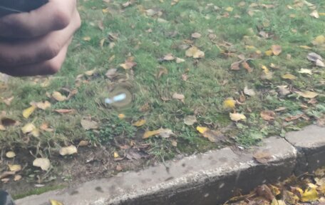 Hyundai H-1 II рестайлинг, 2019 год, 2 650 000 рублей, 15 фотография