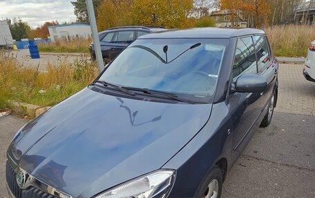 Skoda Fabia II, 2010 год, 550 000 рублей, 14 фотография