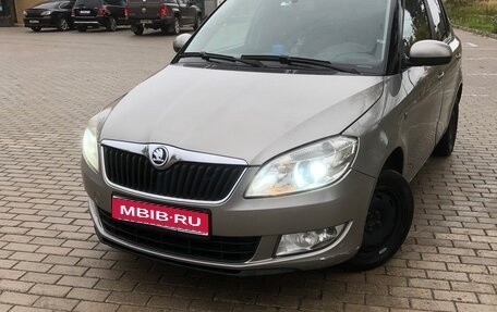 Skoda Fabia II, 2010 год, 490 000 рублей, 1 фотография