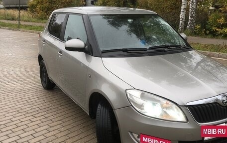 Skoda Fabia II, 2010 год, 490 000 рублей, 3 фотография
