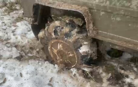 ЛуАЗ 969, 1981 год, 199 000 рублей, 3 фотография