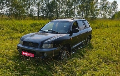 Hyundai Santa Fe III рестайлинг, 2002 год, 320 000 рублей, 1 фотография