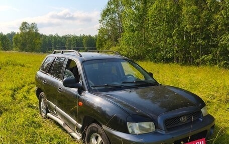 Hyundai Santa Fe III рестайлинг, 2002 год, 320 000 рублей, 4 фотография