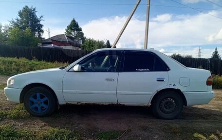 Toyota Corolla, 1999 год, 350 000 рублей, 3 фотография