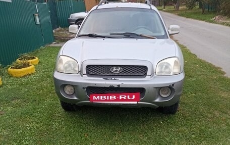 Hyundai Santa Fe III рестайлинг, 2004 год, 385 000 рублей, 6 фотография