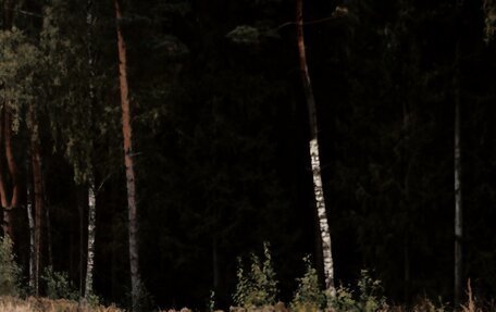 Nissan Skyline, 1989 год, 999 999 рублей, 4 фотография