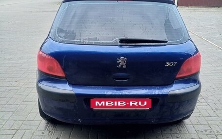 Peugeot 307 I, 2004 год, 300 000 рублей, 2 фотография