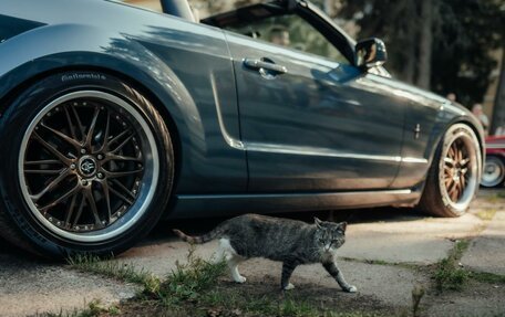 Ford Mustang VI рестайлинг, 2006 год, 2 000 000 рублей, 4 фотография