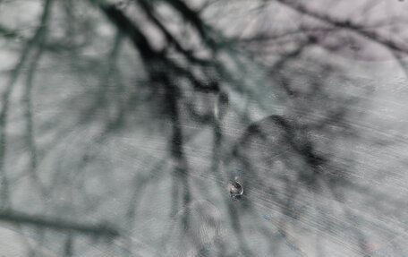 Nissan Qashqai, 2019 год, 2 170 000 рублей, 35 фотография