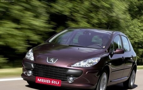 Peugeot 307 I, 2007 год, 300 000 рублей, 1 фотография