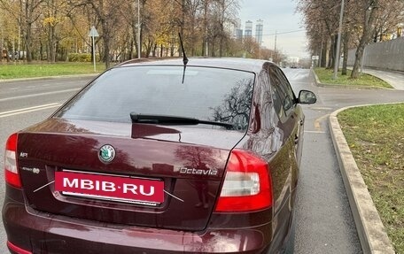 Skoda Octavia, 2010 год, 770 000 рублей, 4 фотография