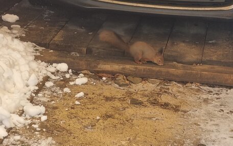 Citroen C4 II рестайлинг, 2014 год, 690 000 рублей, 2 фотография