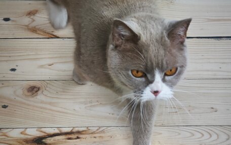 KIA Sportage IV рестайлинг, 2021 год, 3 200 000 рублей, 33 фотография