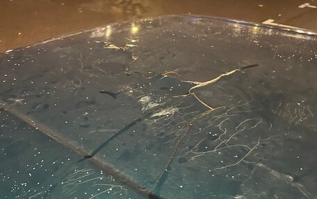 Skoda Felicia I рестайлинг, 1998 год, 125 000 рублей, 19 фотография