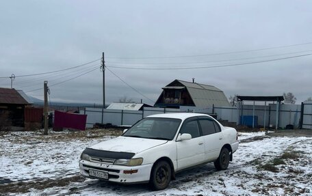 Toyota Corolla, 1995 год, 250 000 рублей, 2 фотография