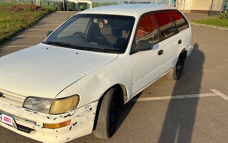 Toyota Corolla, 1996 год, 185 000 рублей, 2 фотография