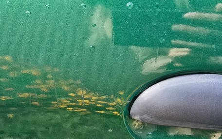 Peugeot 206, 1999 год, 170 000 рублей, 7 фотография