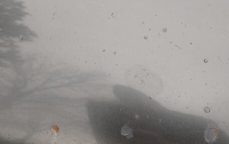 Volkswagen Passat B7, 2014 год, 1 290 000 рублей, 14 фотография