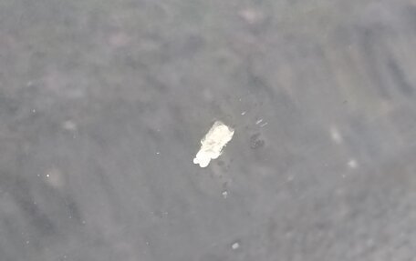 Volkswagen Passat B7, 2014 год, 1 290 000 рублей, 11 фотография