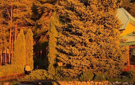 MINI Countryman I (R60), 2014 год, 1 800 000 рублей, 3 фотография