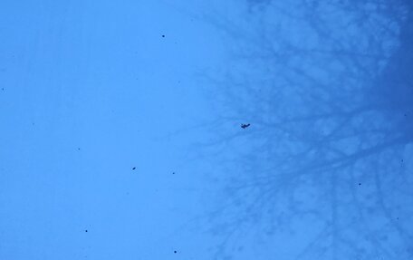 KIA Rio IV, 2019 год, 1 250 000 рублей, 5 фотография