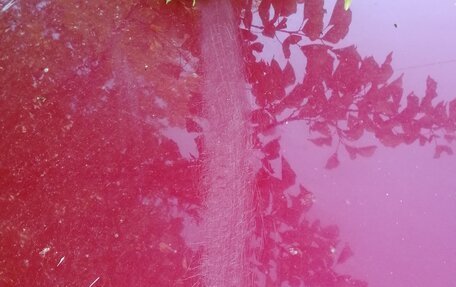 Subaru Legacy VII, 1990 год, 220 000 рублей, 6 фотография