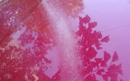 Subaru Legacy VII, 1990 год, 220 000 рублей, 5 фотография