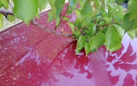 Subaru Legacy VII, 1990 год, 220 000 рублей, 4 фотография