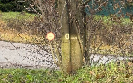 BMW X4, 2017 год, 2 650 000 рублей, 9 фотография