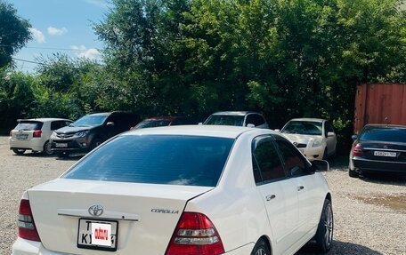 Toyota Corolla, 2003 год, 610 000 рублей, 5 фотография