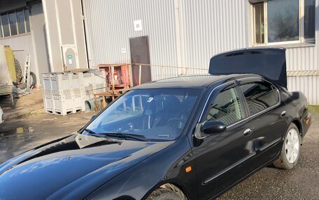 Nissan Maxima VIII, 2004 год, 580 000 рублей, 3 фотография