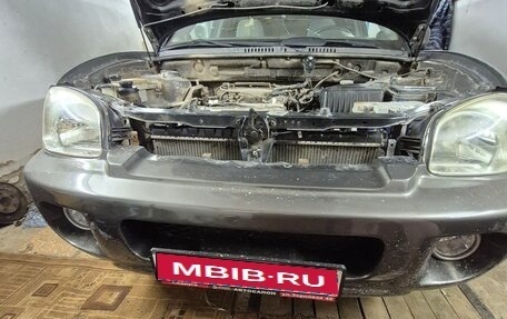 Hyundai Santa Fe III рестайлинг, 2004 год, 445 000 рублей, 1 фотография