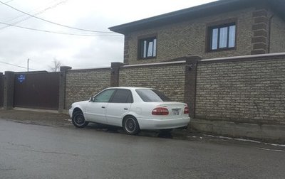 Toyota Corolla, 2000 год, 330 000 рублей, 1 фотография