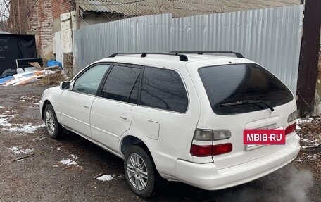 Toyota Corolla, 2000 год, 250 000 рублей, 3 фотография