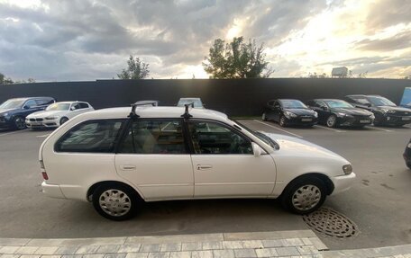 Toyota Corolla, 1999 год, 350 000 рублей, 1 фотография