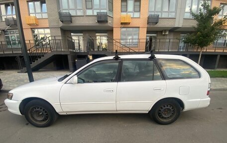 Toyota Corolla, 1999 год, 350 000 рублей, 2 фотография