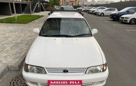 Toyota Corolla, 1999 год, 350 000 рублей, 3 фотография