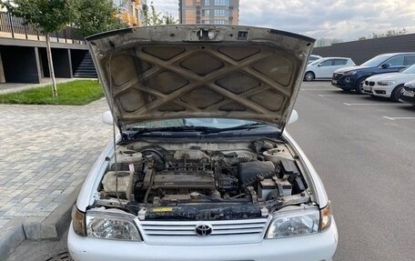 Toyota Corolla, 1999 год, 350 000 рублей, 5 фотография