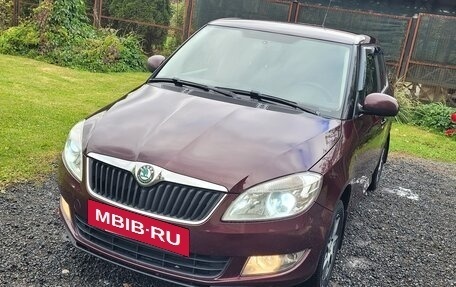Skoda Fabia II, 2011 год, 450 000 рублей, 2 фотография