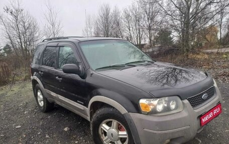 Ford Escape II, 2001 год, 495 000 рублей, 1 фотография
