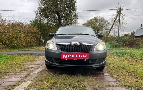 Skoda Fabia II, 2010 год, 445 000 рублей, 3 фотография