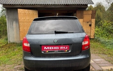 Skoda Fabia II, 2010 год, 445 000 рублей, 8 фотография