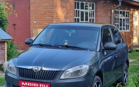Skoda Fabia II, 2010 год, 445 000 рублей, 27 фотография