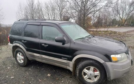 Ford Escape II, 2001 год, 495 000 рублей, 2 фотография