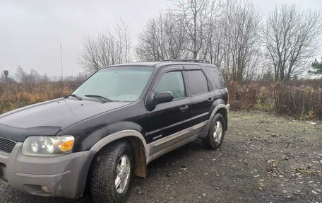 Ford Escape II, 2001 год, 495 000 рублей, 5 фотография